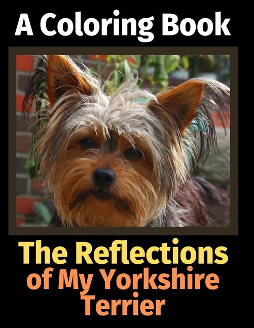 Front cover_The Reflections of My Yorkshire Terrier