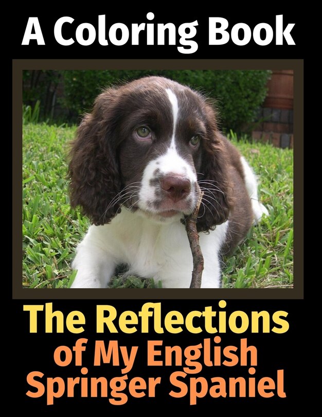 Couverture_The Reflections of My English Springer Spaniel