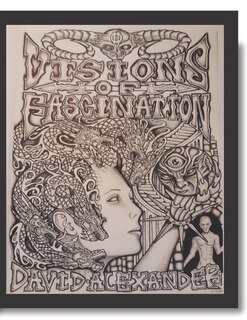Front cover_Visions of Fascination