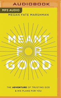 Couverture_Meant For Good