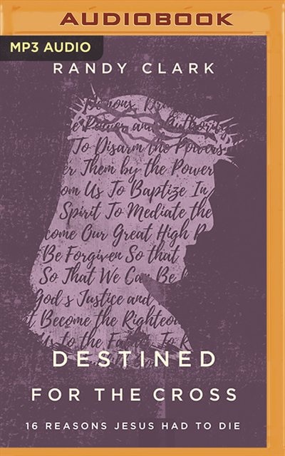 Destined For The Cross: 16 Reasons Jesus Had To Die