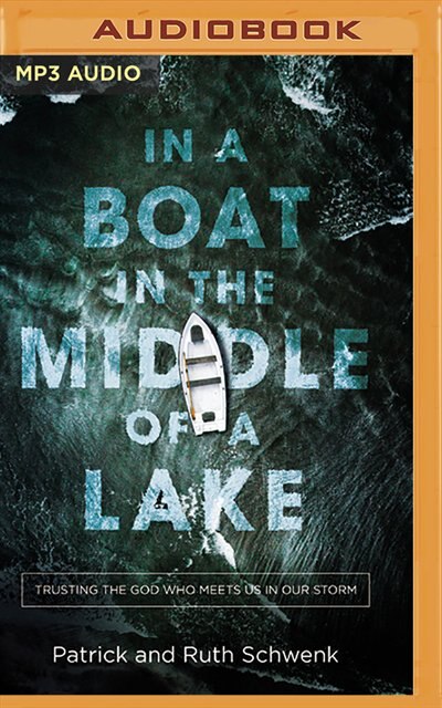 In A Boat In The Middle Of A Lake: Trusting The God Who Meets Us In Our Storm