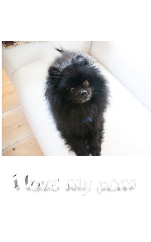 Couverture_i love my pom Blank page journal