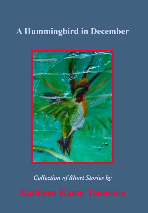 Couverture_A Hummingbird in December