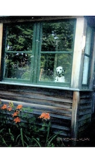 Couverture_Dalmatian cabin creative blank journal