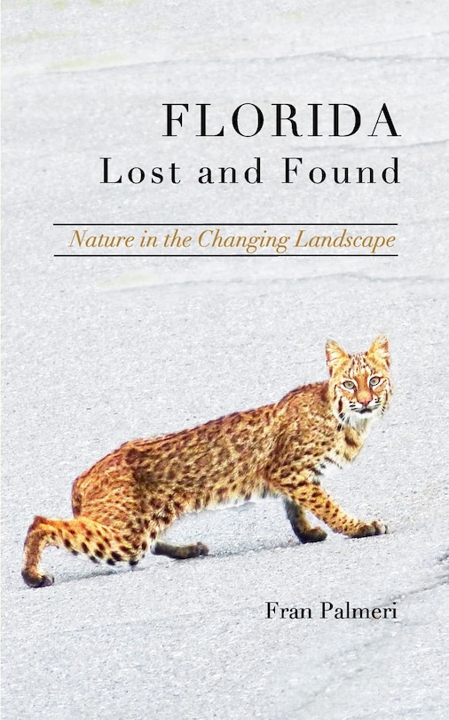 Front cover_Florida Lost and Found