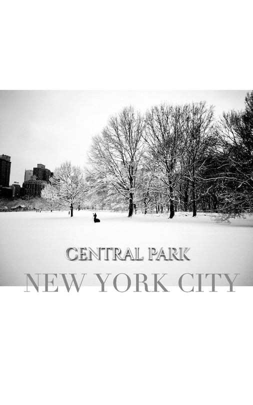 Front cover_central park New York City Winter wonderland blank journal