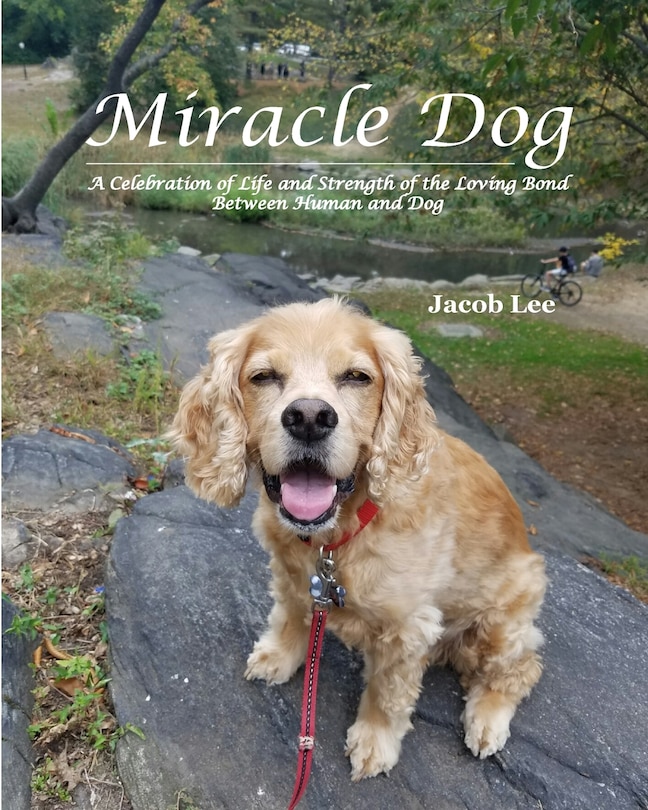 Couverture_Miracle Dog