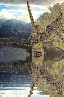 Couverture_New Zealand Angelic Angel pound reflection creative blank journal