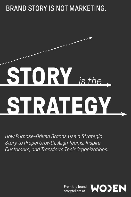 Couverture_Story is the Strategy
