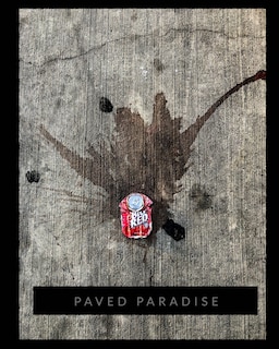 Couverture_Paved Paradise