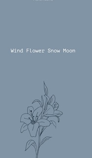 Couverture_Wind Flower Snow Moon