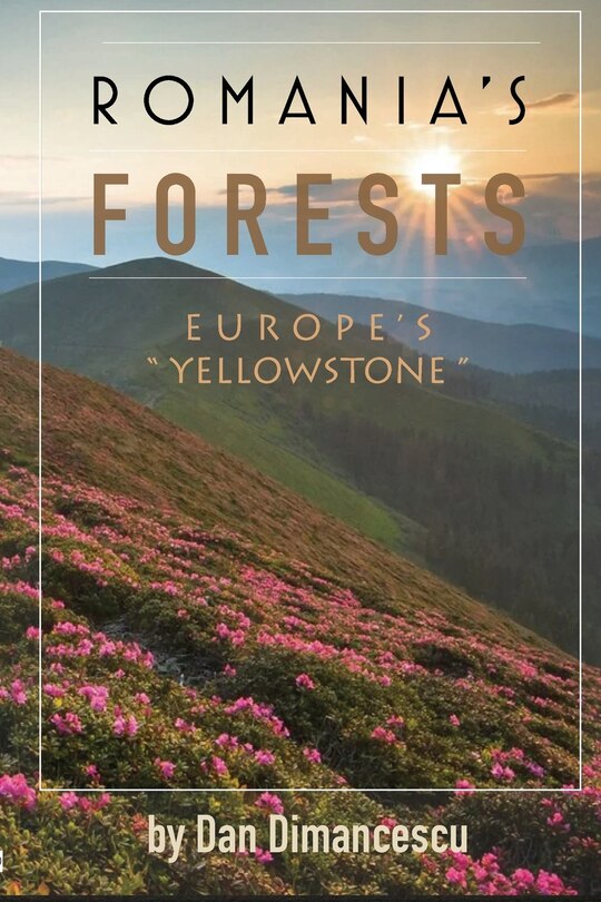 Front cover_Romania's Forests