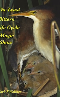 Front cover_The Least Bittern Life Cycle Magic Show