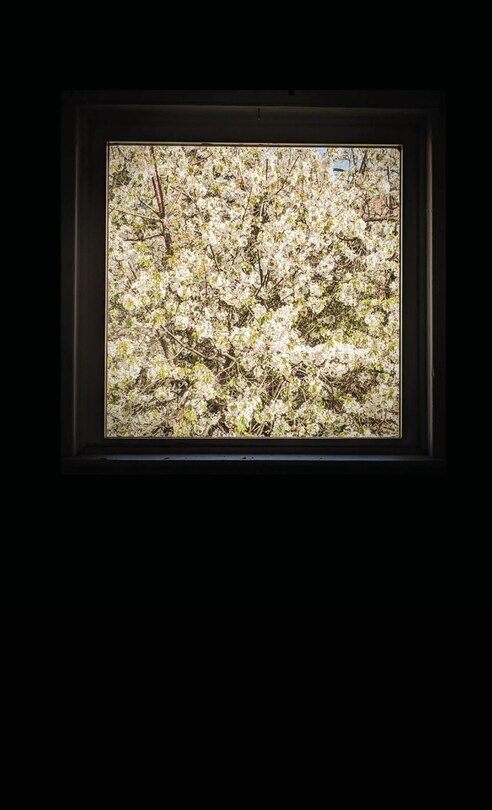 Front cover_The Bell That Rang For Nobody