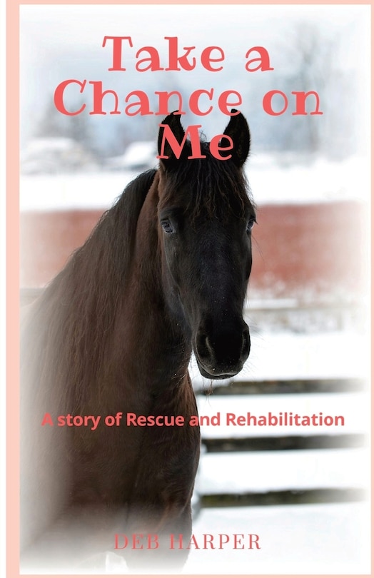 Front cover_Take a Chance on Me
