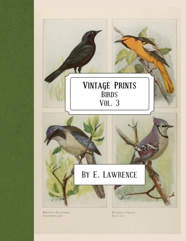 Vintage Prints: Birds: Vol. 3