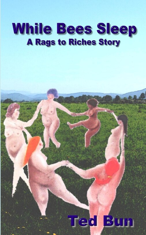 Front cover_While Bees Sleep