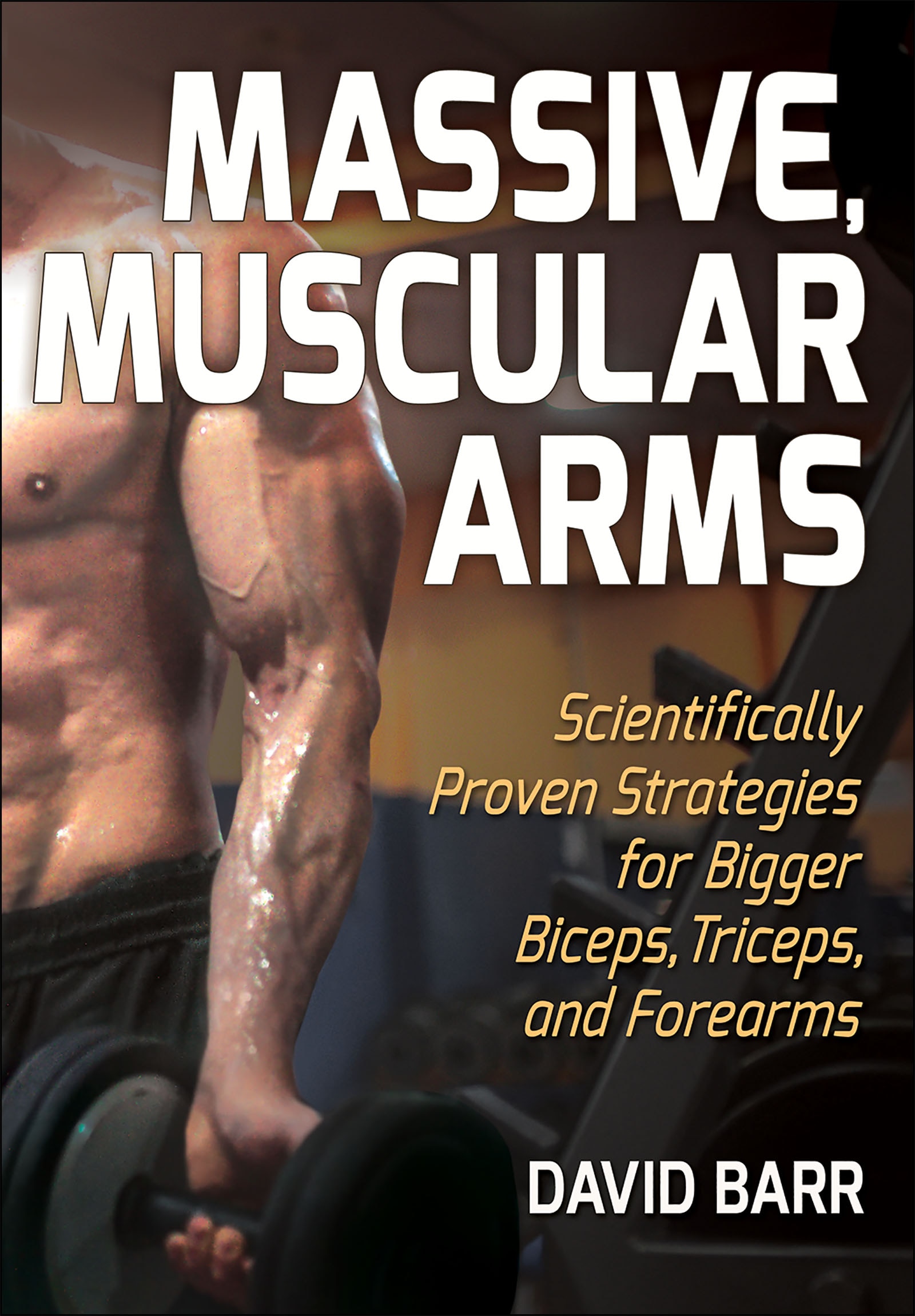Biceps triceps 2024 and forearms workout