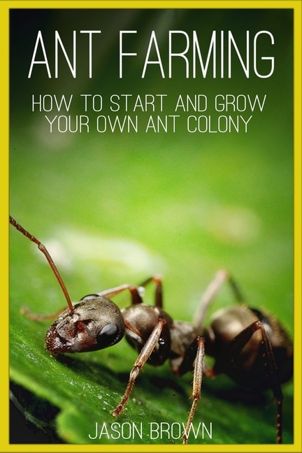 Front cover_Ant Farming