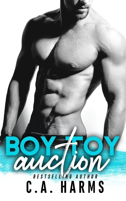 Couverture_Boy Toy Auction