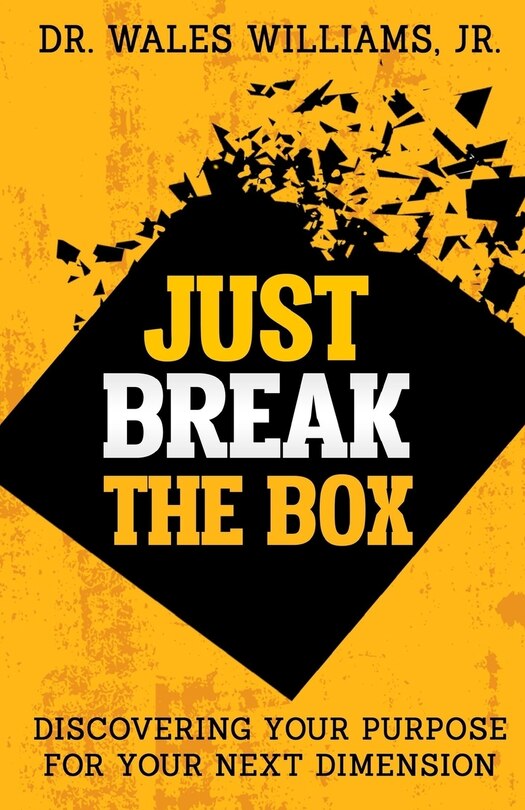 Couverture_Just Break the Box