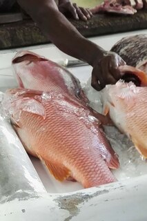 Couverture_Fish Market Cookbook