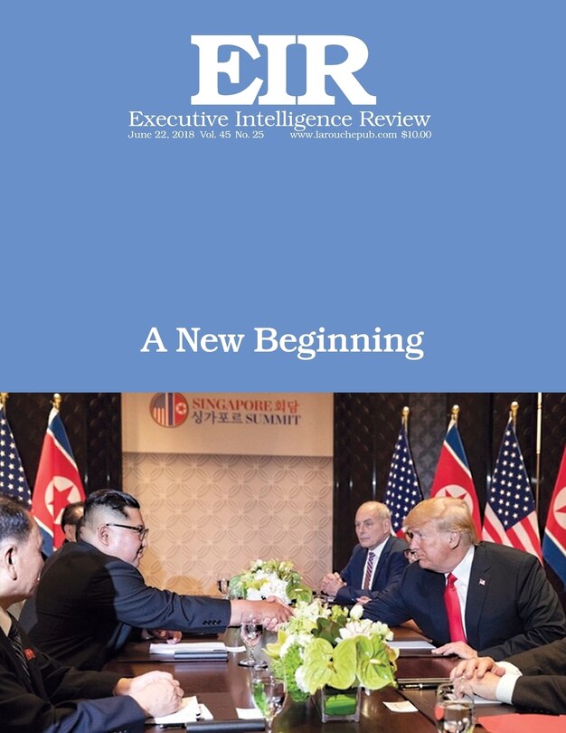 Couverture_A New Beginning