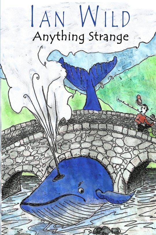 Couverture_Anything Strange