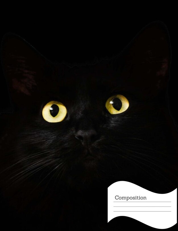 Couverture_Composition