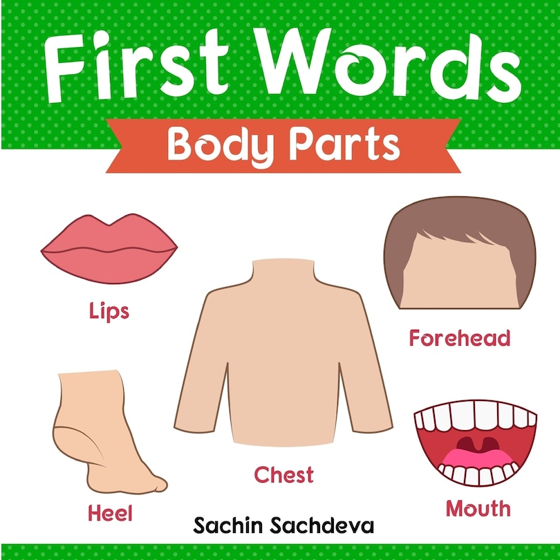 First Words (Body Parts): Early Education Book of Body Parts, Organs, Muscles, and Bones for Kids