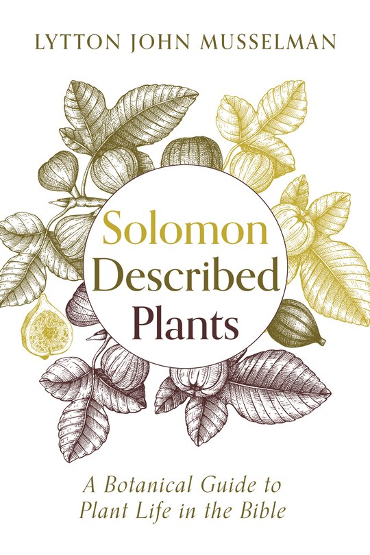 Front cover_Solomon Described Plants