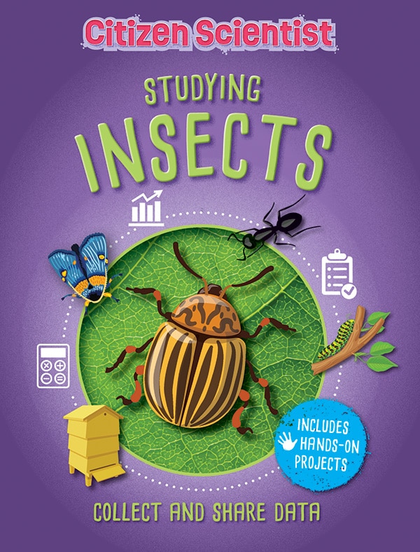 Studying Insects