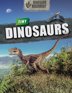 Couverture_Tiny Dinosaurs