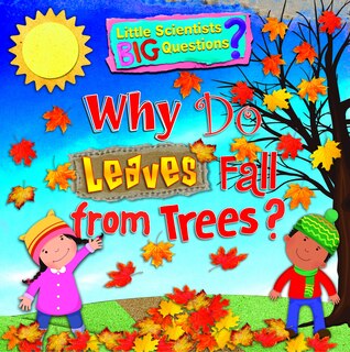 Why Do Leaves Fall from Trees?