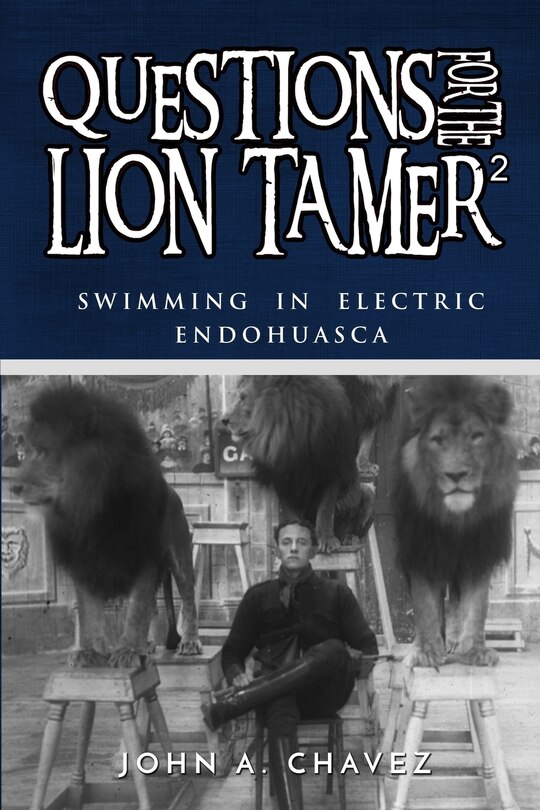 Front cover_Questions for the Lion Tamer 2