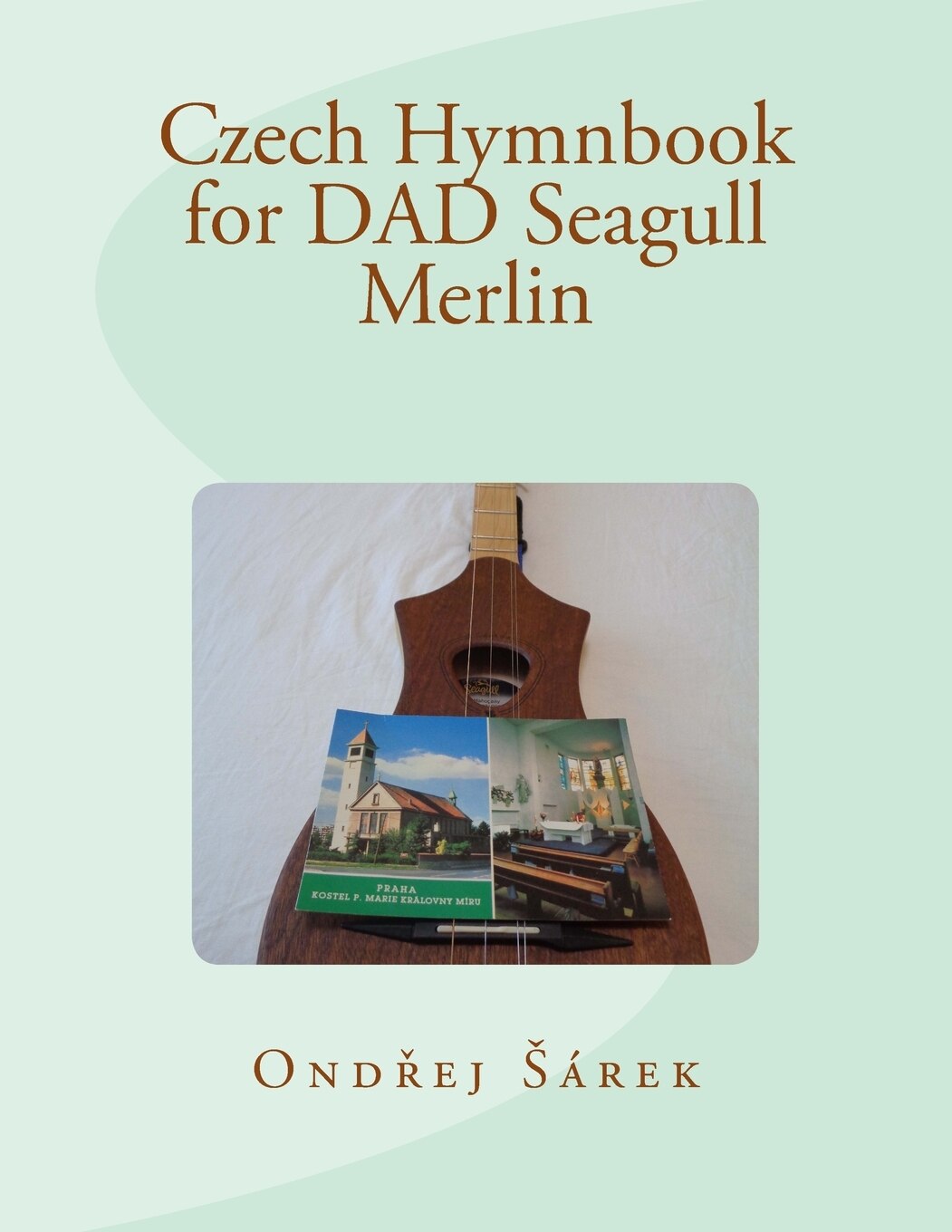 Seagull Merlin Songbook Indigo