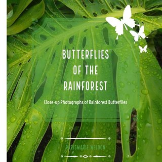 Butterflies of the Rainforest