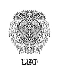 Couverture_Leo