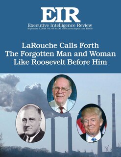 Front cover_The Forgotten Man