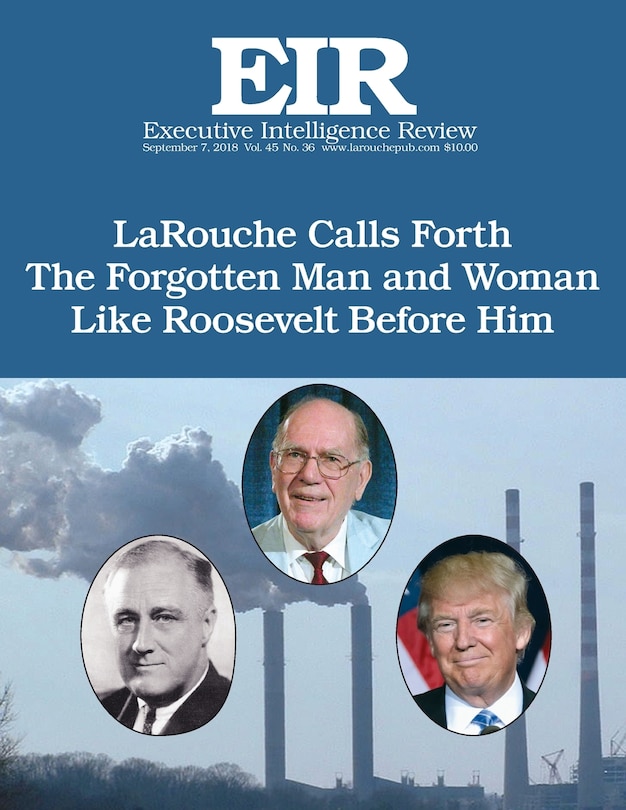 Front cover_The Forgotten Man