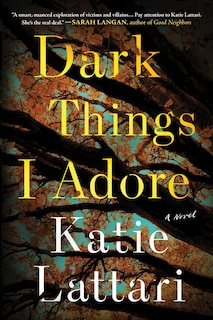 Front cover_Dark Things I Adore