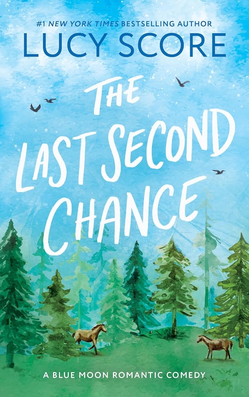Front cover_The Last Second Chance