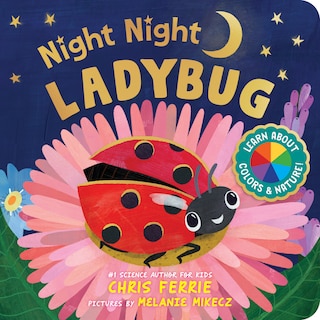 Front cover_Night Night Ladybug