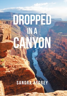 Front cover_Dropped In A Canyon