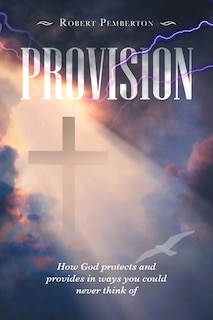 Provision: How God Protects and Provides in Ways You Could Never Think Of