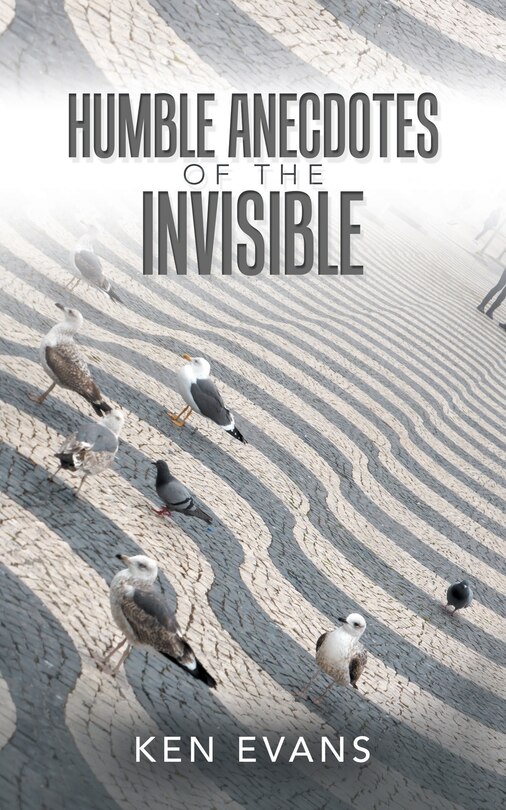 Humble Anecdotes Of The Invisible