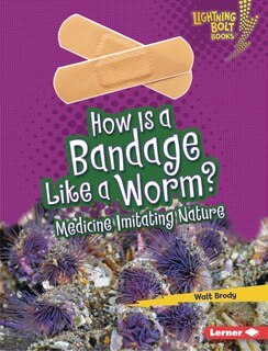Front cover_How Is a Bandage Like a Worm?