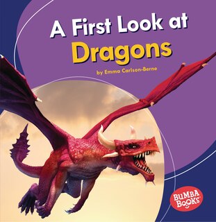 Couverture_A First Look at Dragons