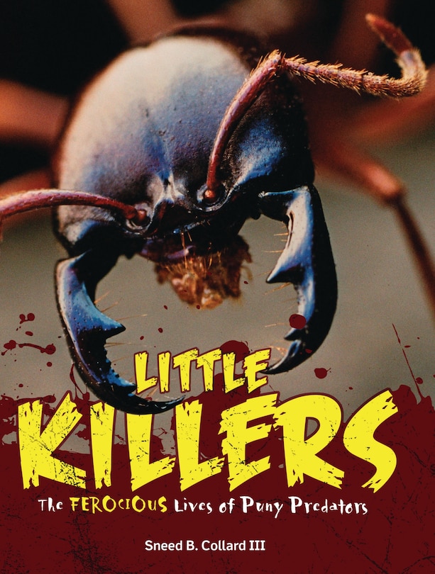 Couverture_Little Killers
